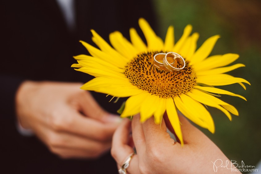 Raul & Cristina - After Wedding Photo Shooting