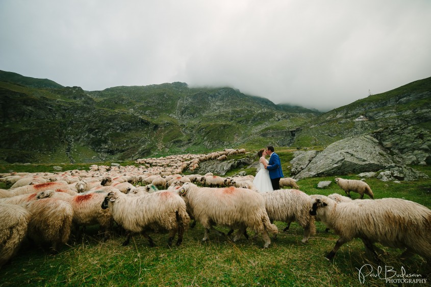 Fotograf de nunta Targu Mures, Fotograf de nunta, Fotograf Romania, Fotograf Cluj, Filmari Video Targu Mures