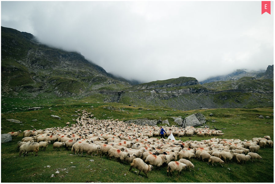 Fotograf de nunta premiat1