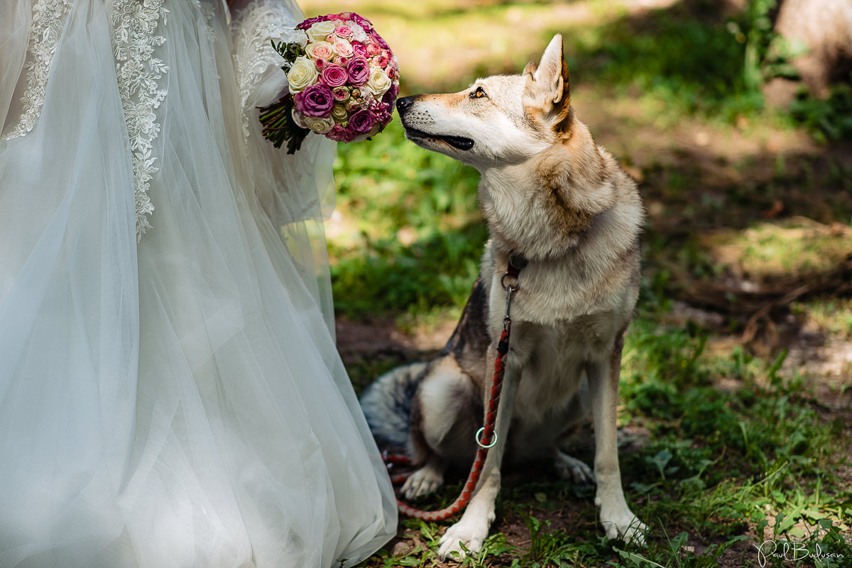 Nunta-la-Cort-Gallery-Wedding-Garden-Targu-Mures-Fotograf-Mures0.jpg