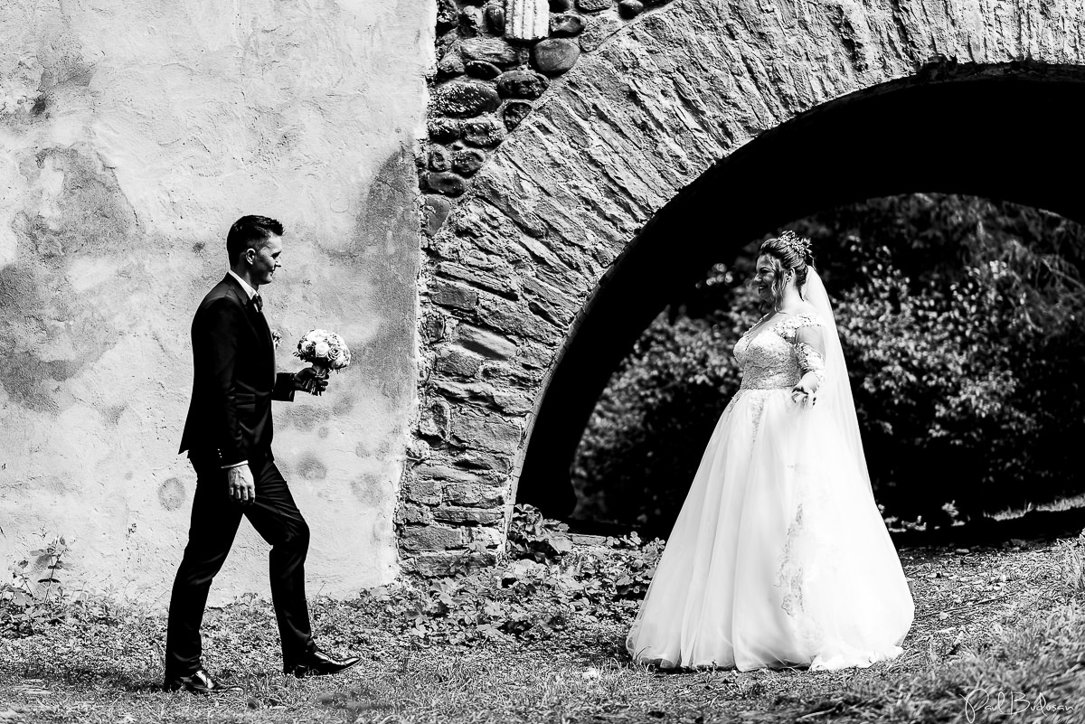 Nunta-la-Cort-Gallery-Wedding-Garden-Targu-Mures-Fotograf-Mures0.jpg