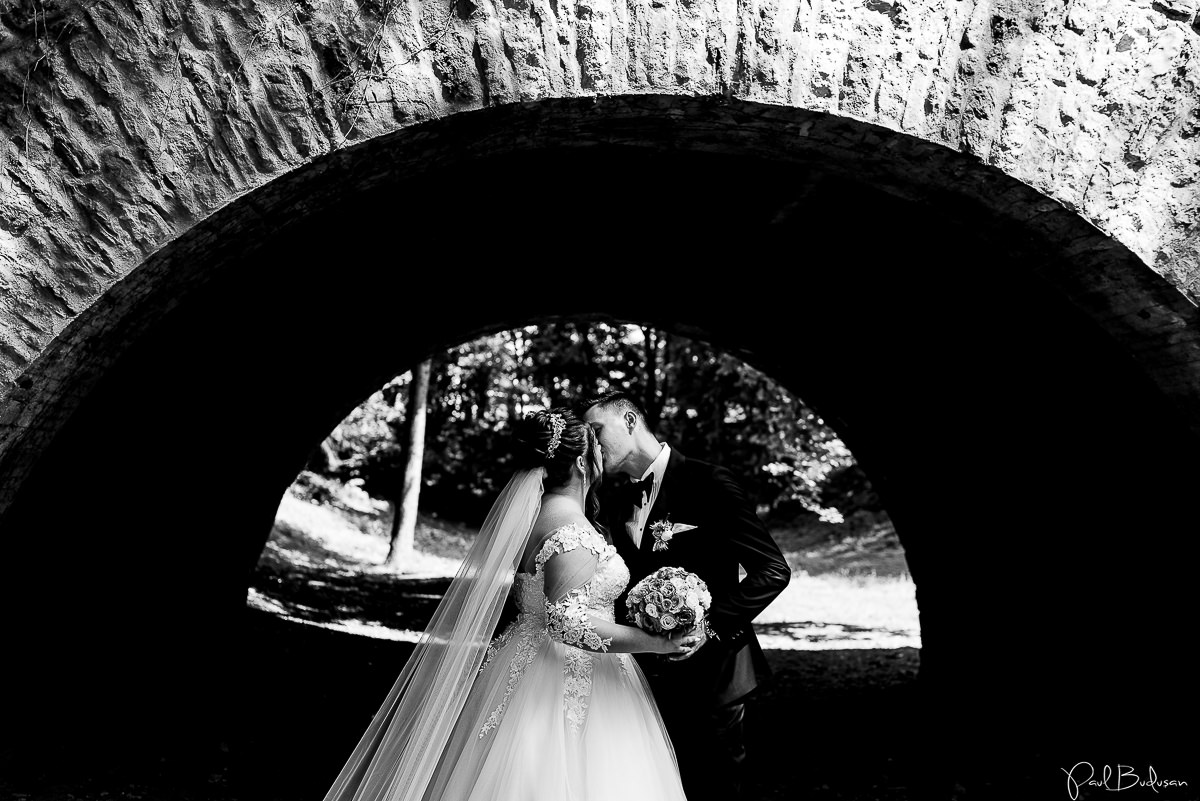 Nunta-la-Cort-Gallery-Wedding-Garden-Targu-Mures-Fotograf-Mures0.jpg