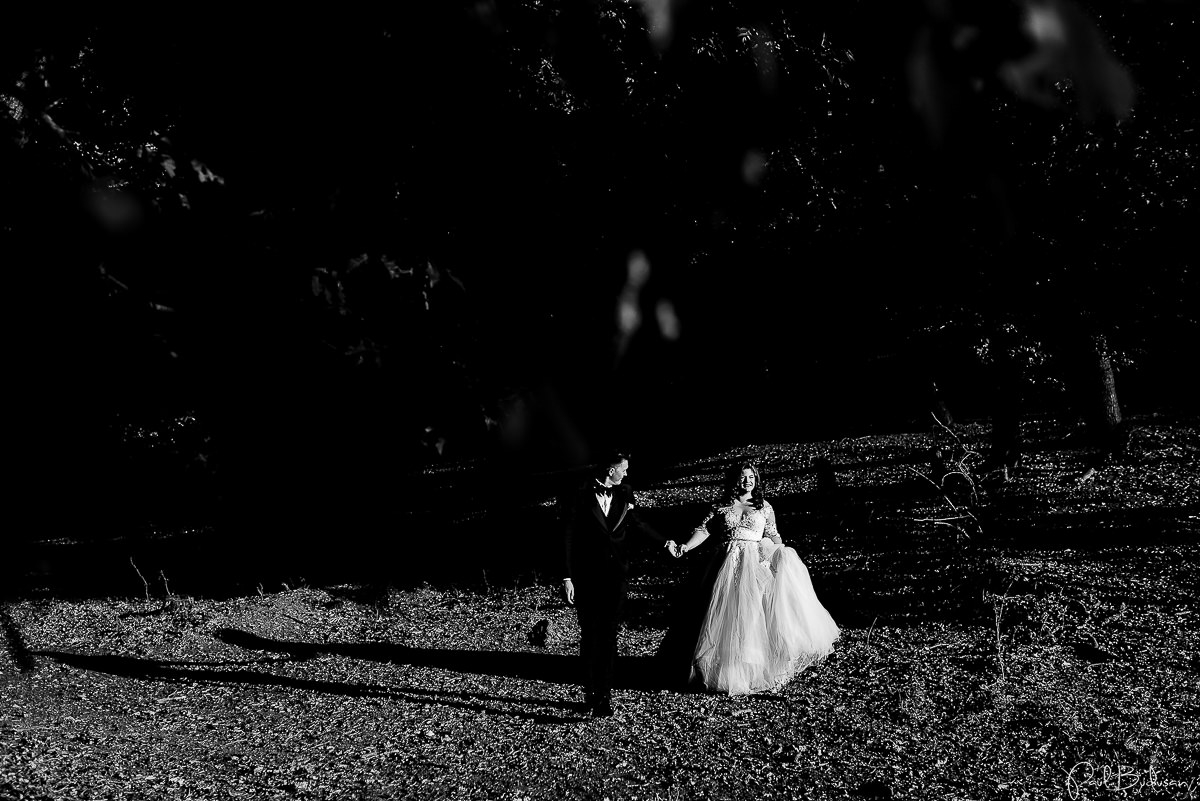 Nunta-la-Cort-Gallery-Wedding-Garden-Targu-Mures-Fotograf-Mures0.jpg