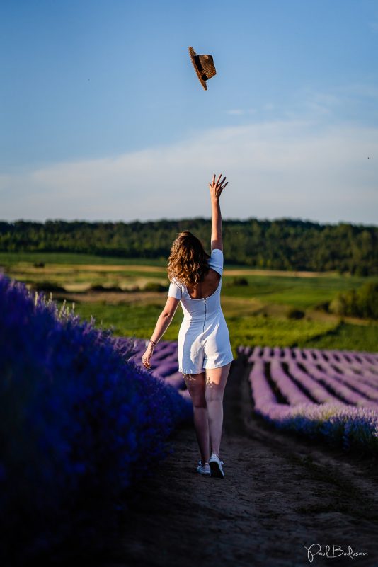 Fotograf Paul Budusan, Sedinta foto in Lavanda, Taramul Lavandei