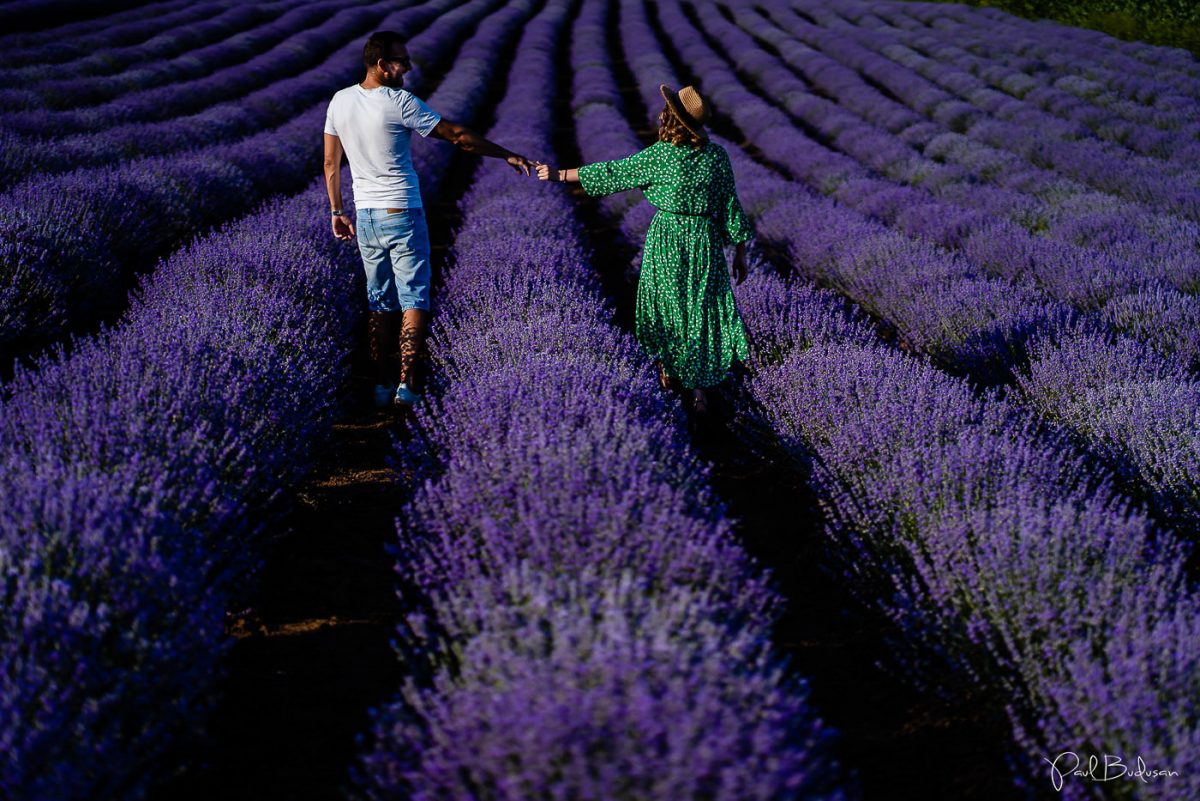 Fotograf Paul Budusan, Sedinta foto in Lavanda, Taramul Lavandei