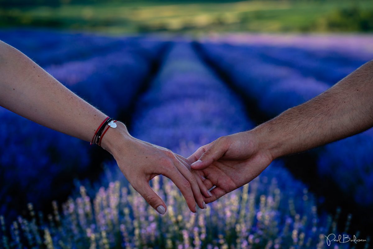 Fotograf Paul Budusan, Sedinta foto in Lavanda, Taramul Lavandei