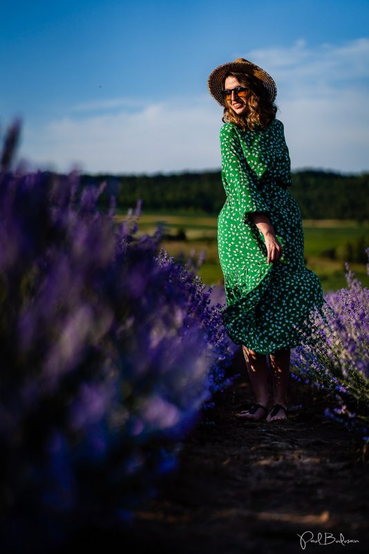 Fotograf Paul Budusan, Sedinta foto in Lavanda, Taramul Lavandei