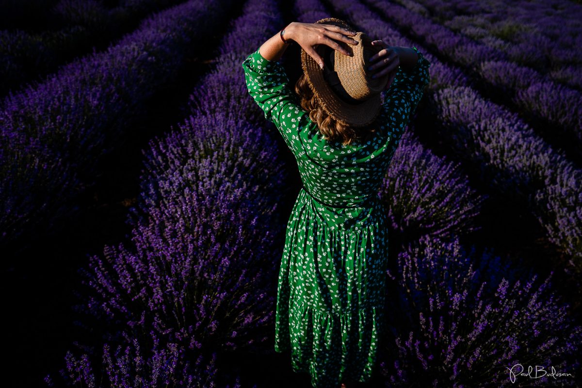 Fotograf Paul Budusan, Sedinta foto in Lavanda, Taramul Lavandei