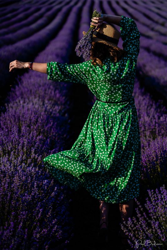 Fotograf Paul Budusan, Sedinta foto in Lavanda, Taramul Lavandei