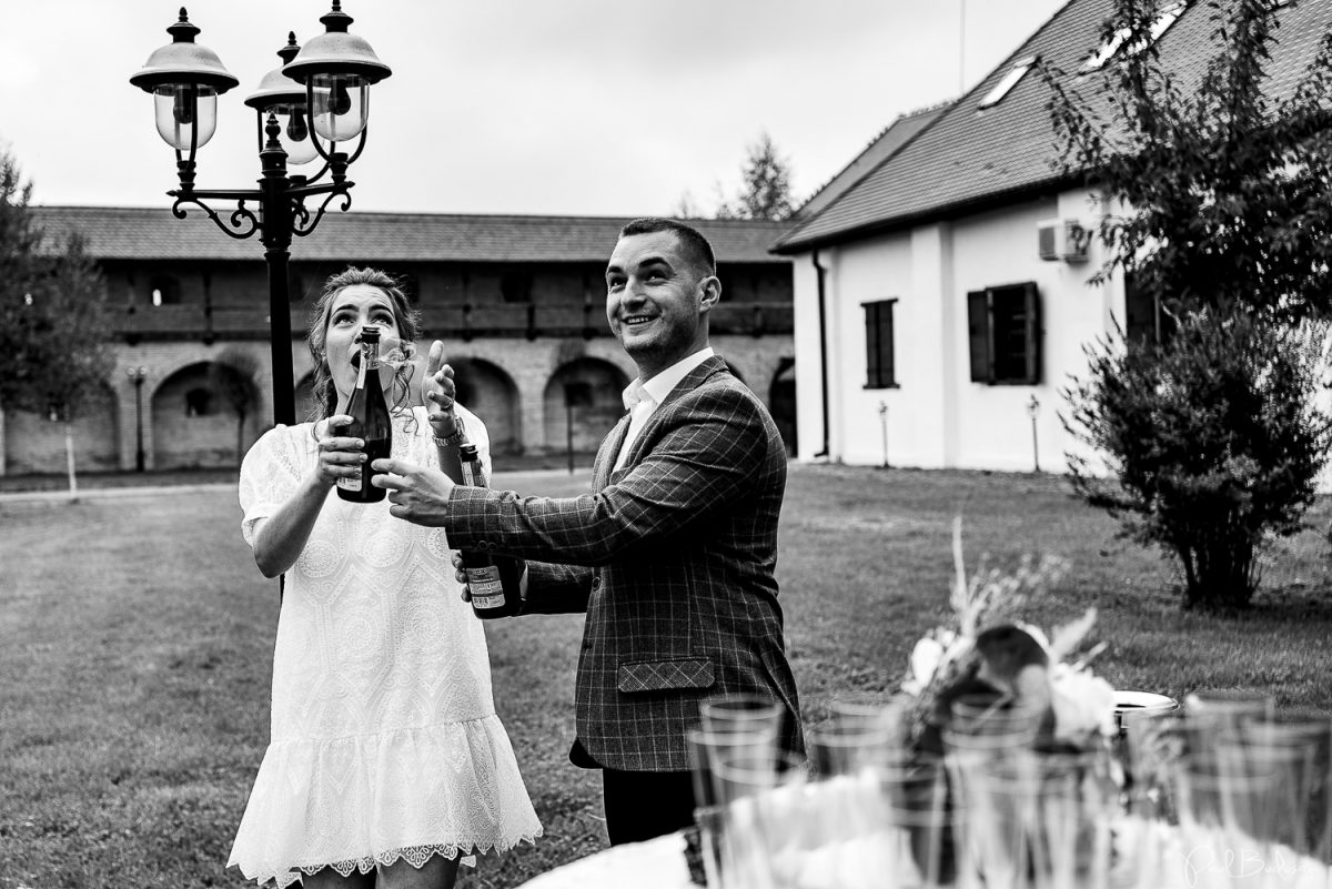 Cununie civila in aer liber targu mures, Fotograf cununie civila, casa casatoriilor targu mures