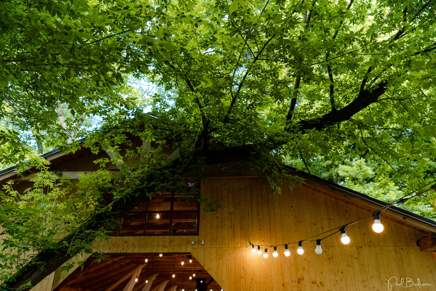 Nunta la Hambar Sighisoara, The Dallas Barn, Fotograf de nunta la Hambar